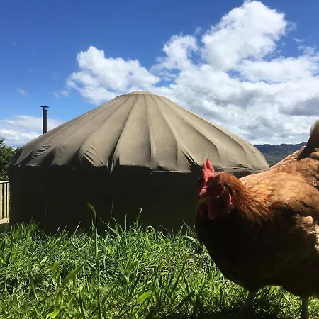 Glamping Luxury