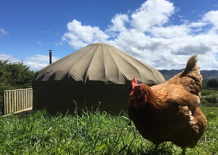 ラグジュアリーテント Luxury