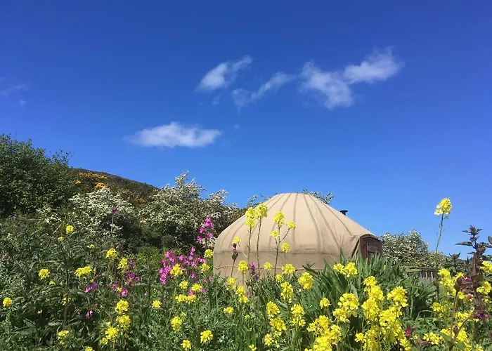 ラグジュアリーテント Luxury ポートサロン