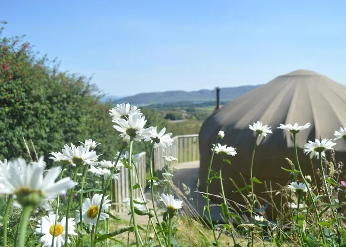 Luxury ラグジュアリーテント ポートサロン